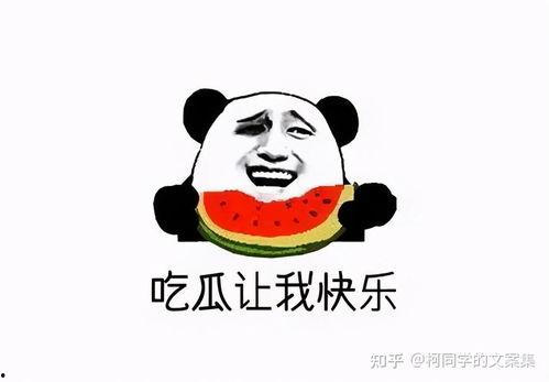 搞笑吃瓜围观文案,围观娱乐圈那些搞笑吃瓜瞬间